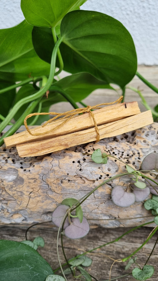 Palo Santo Sticks Reiki Infused