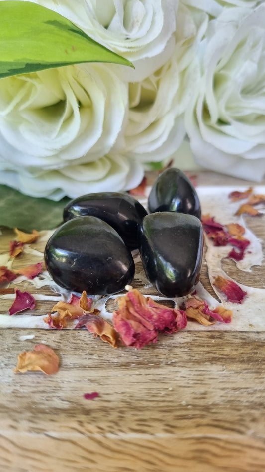 Shungite Crystal - Reiki Infused