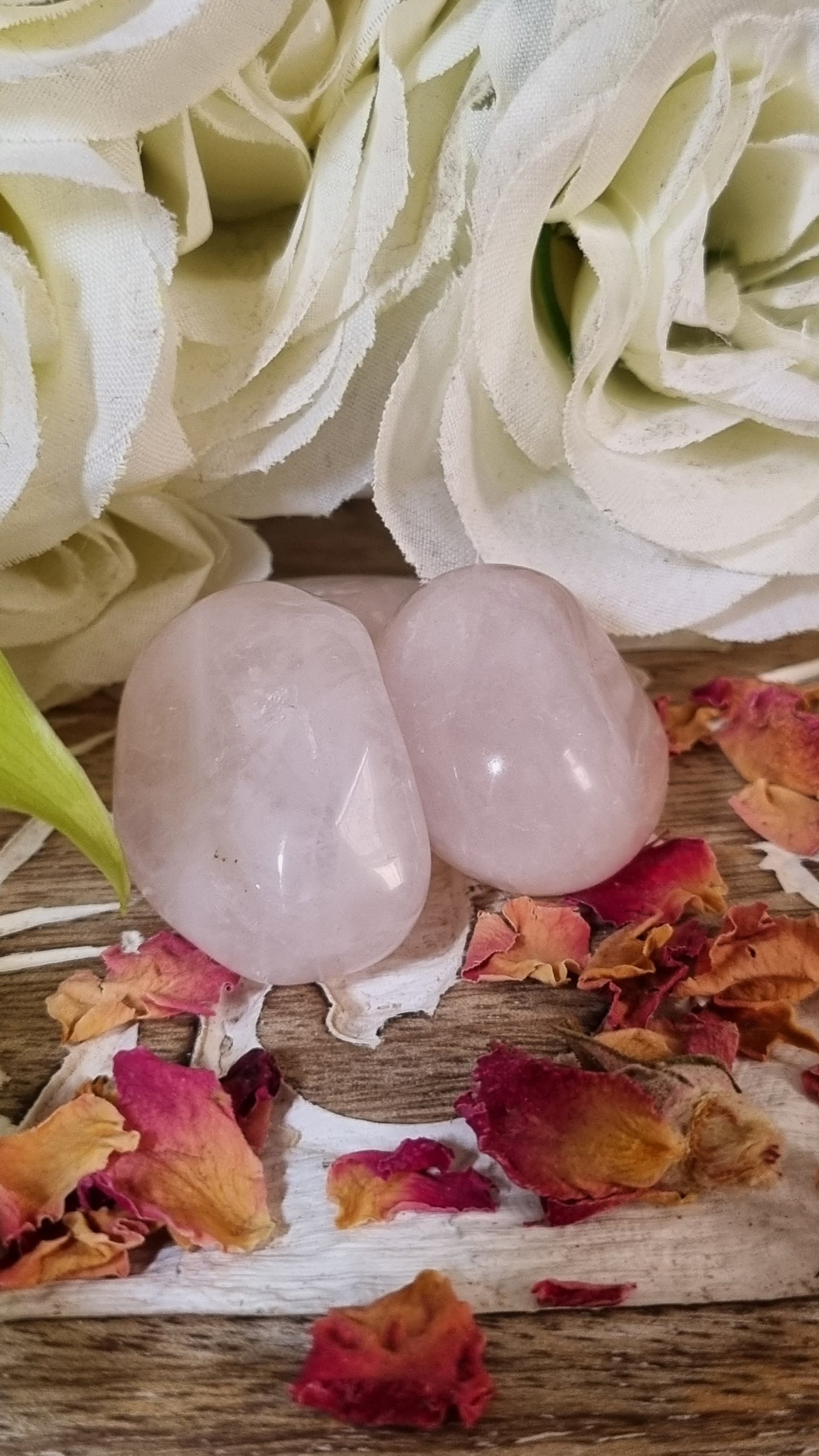 Rose Quartz Tumble - Reiki Infused