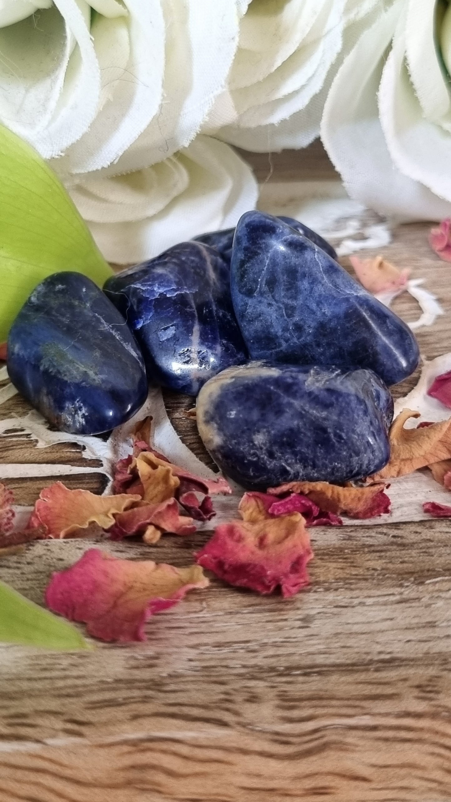 Sodalite Tumble - Reiki Infused