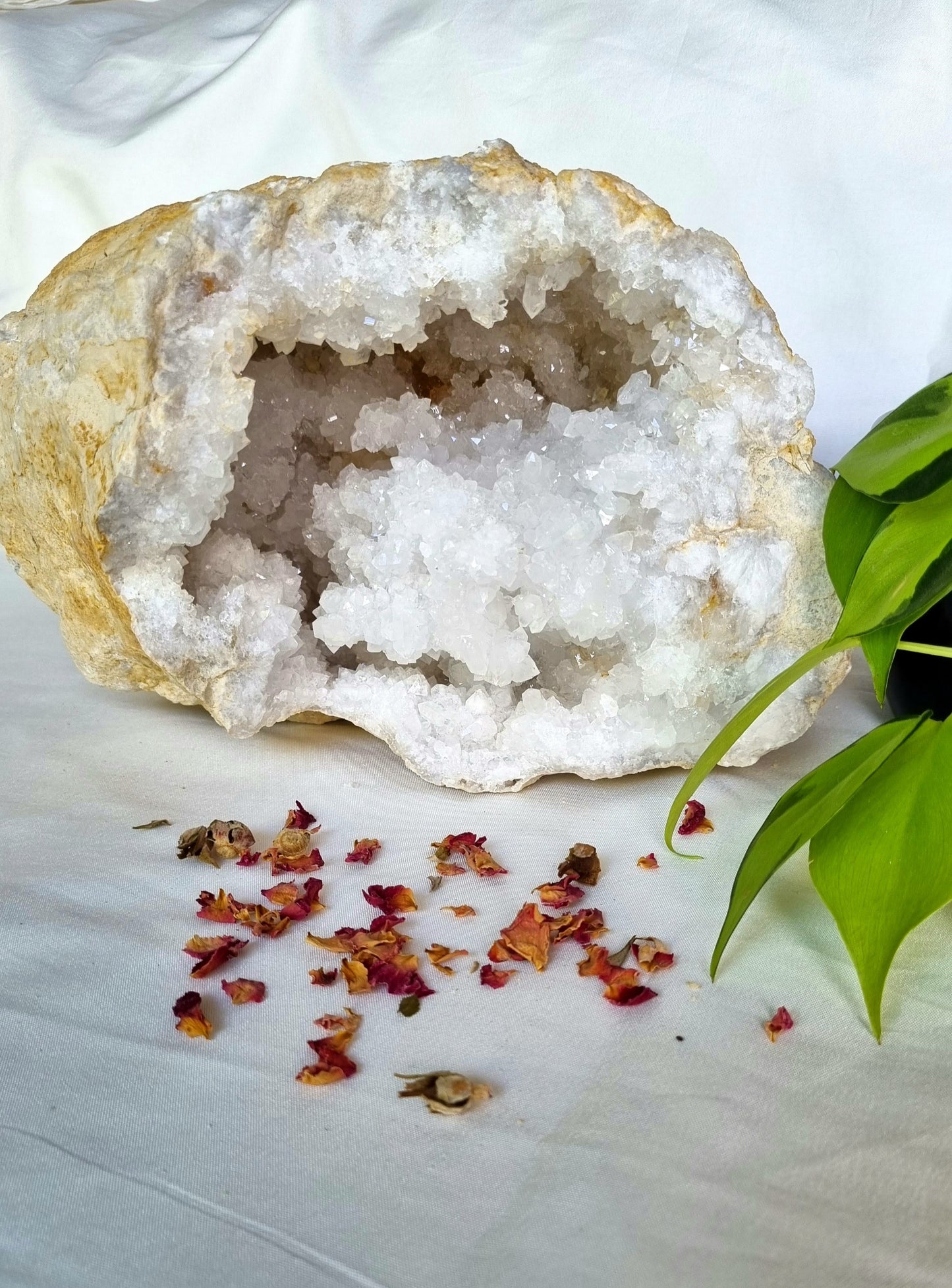 Clear Quartz Geode - Reiki Infused