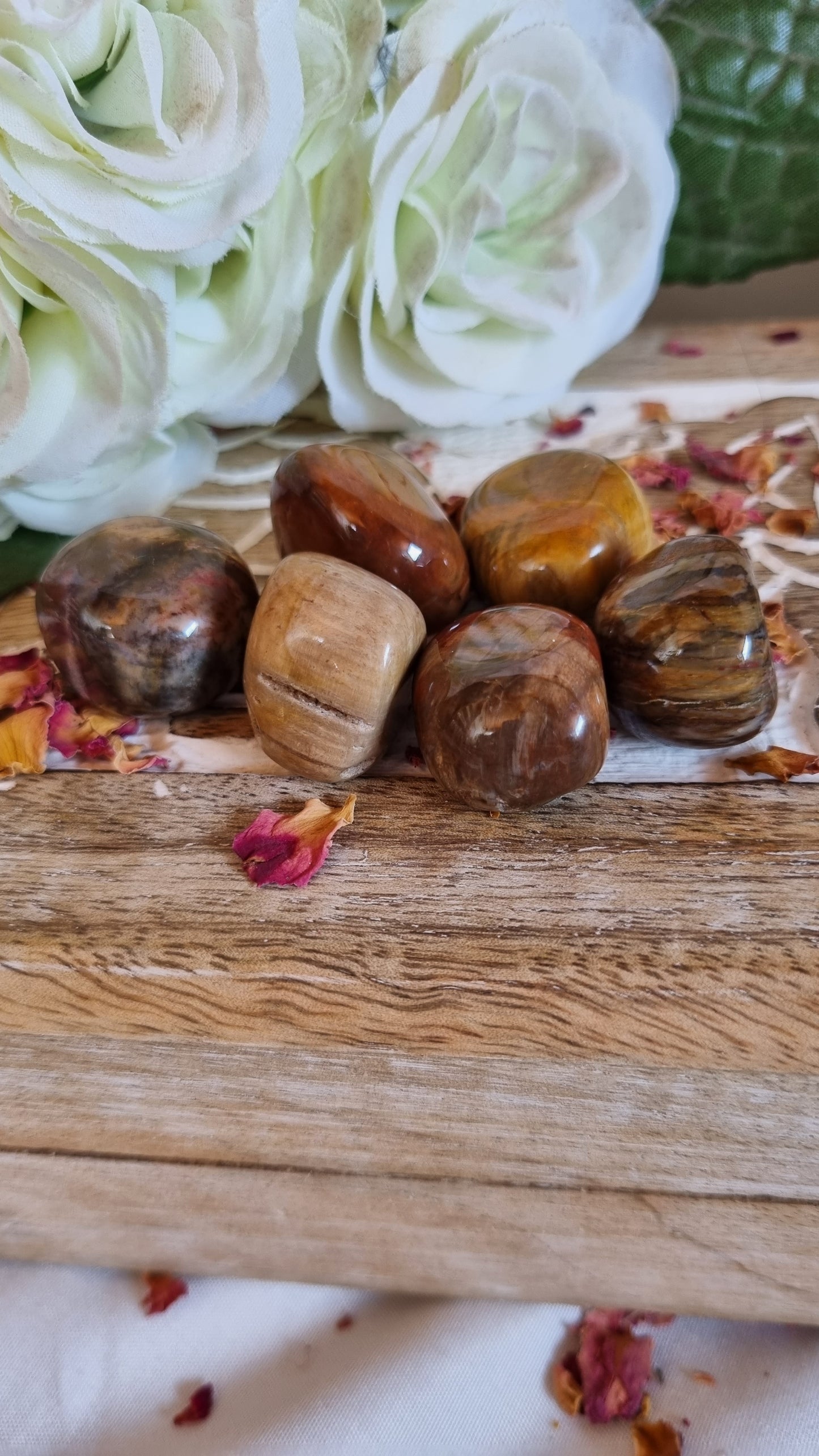 Petrified Wood Tumble - Reiki Infused