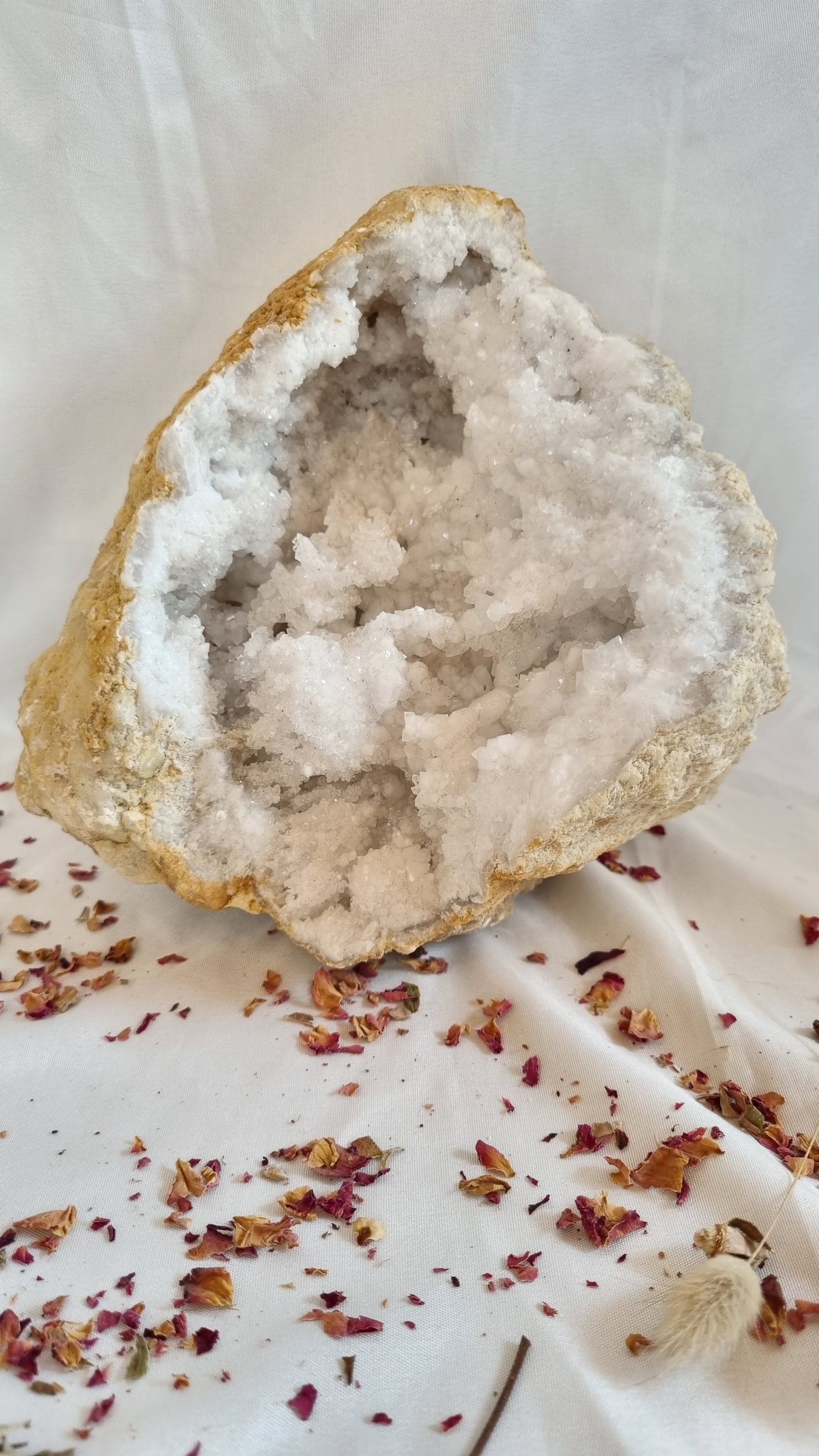 Clear Quartz Geode - Reiki Infused