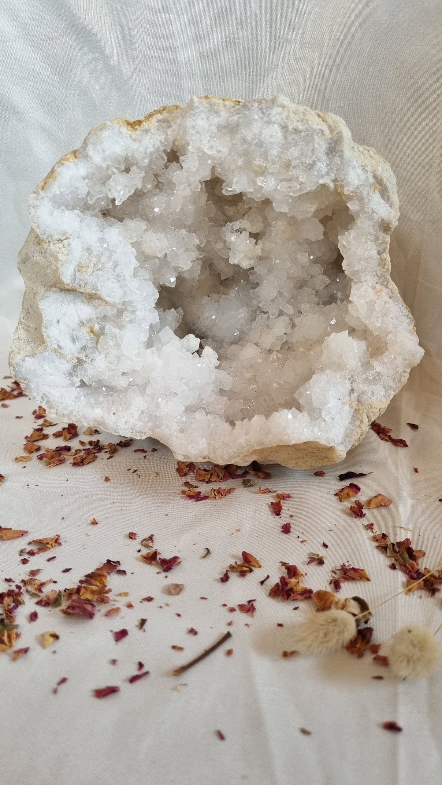 Clear Quartz Geode - Reiki Infused