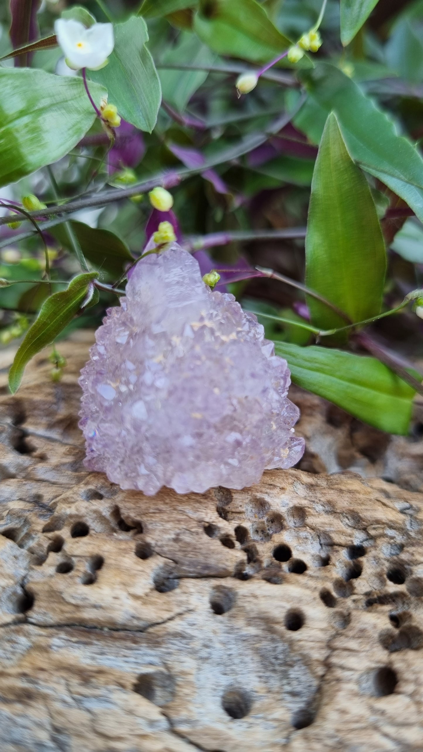 Spirit Quartz - Reiki Infused