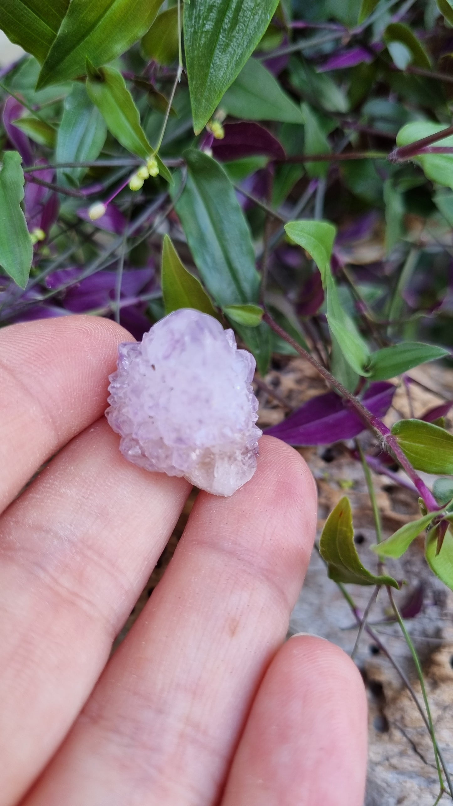 Spirit Quartz - Reiki Infused