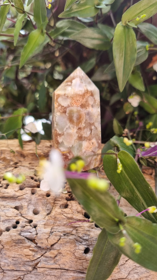 Flower Agate Point - Reiki Infused