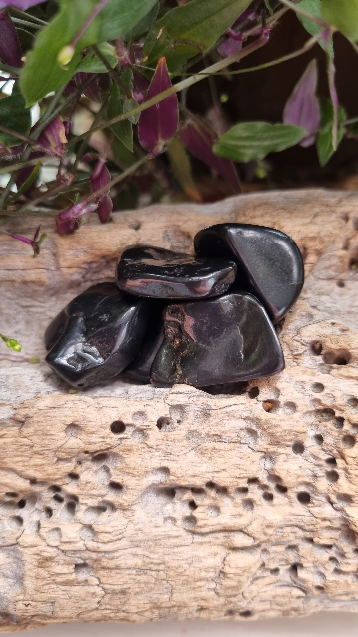 Shungite Tumble (Small) - Reiki Infused