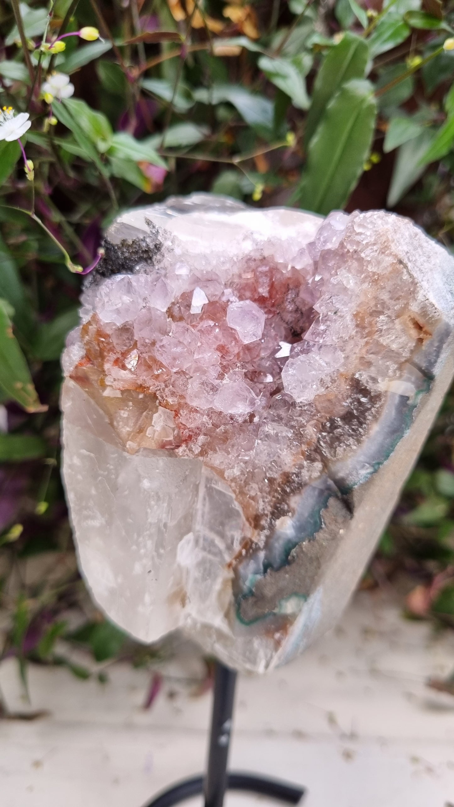 Amethyst Specimen Druzy On Stand - Reiki Infused