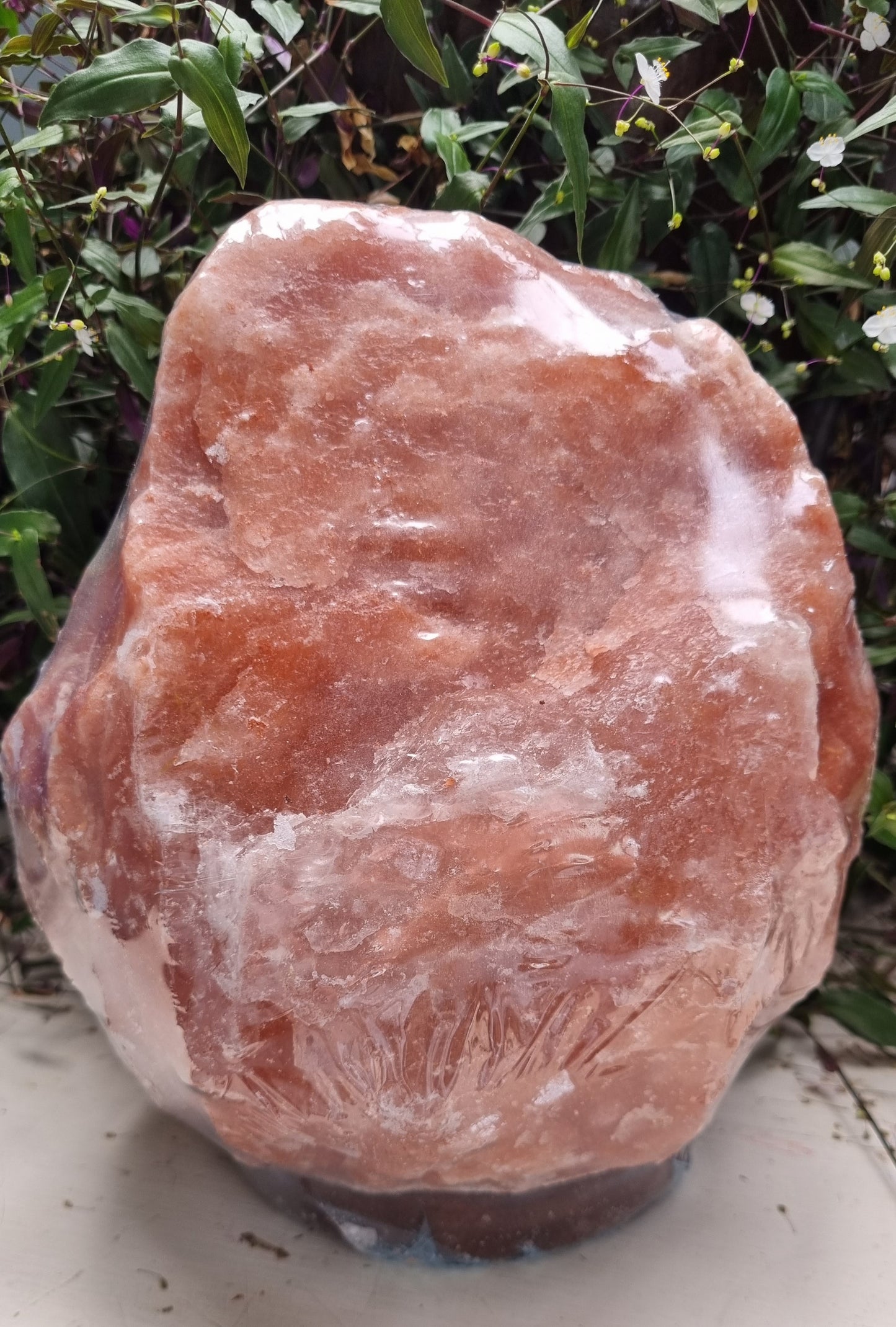 Red Himalayan Salt Lamp - Reiki Infused