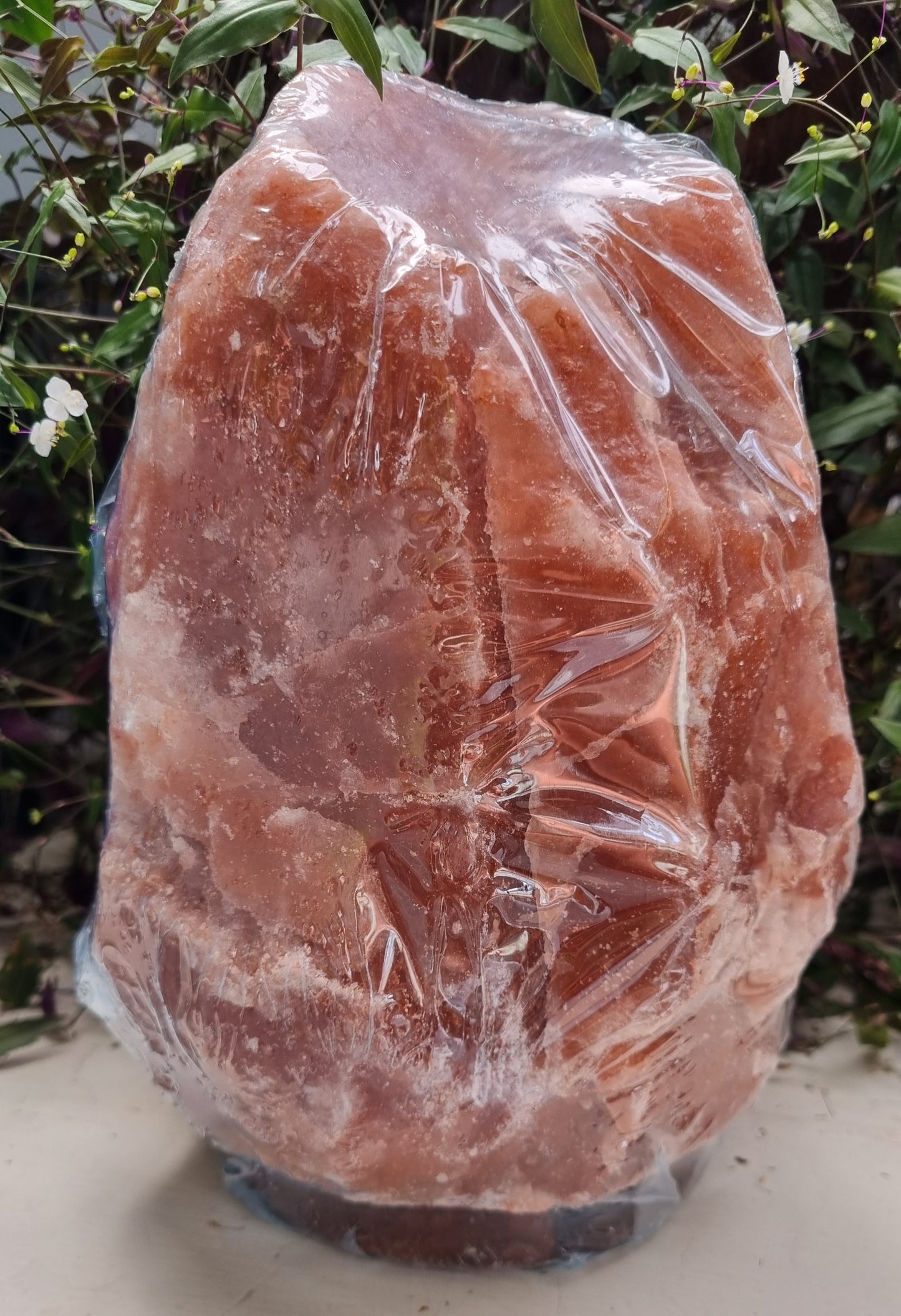 Red Himalayan Salt Lamp - Reiki Infused