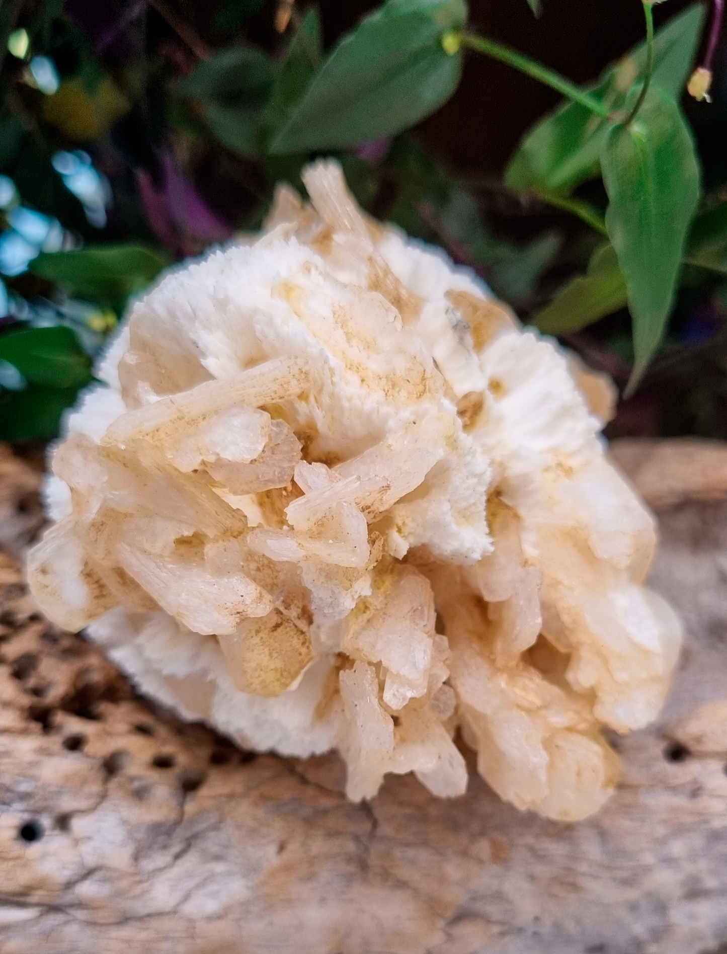 Stilbite Specimen - Reiki Infused