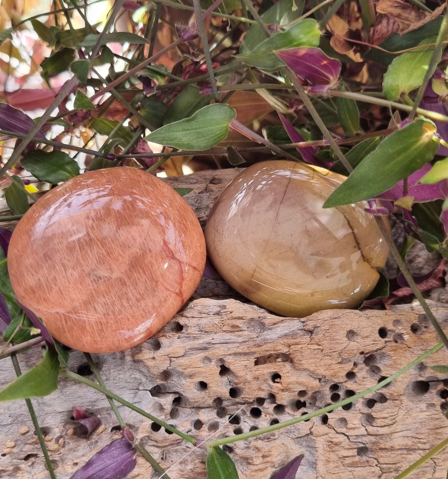 Mookaite Palm Stone - Reiki Infused