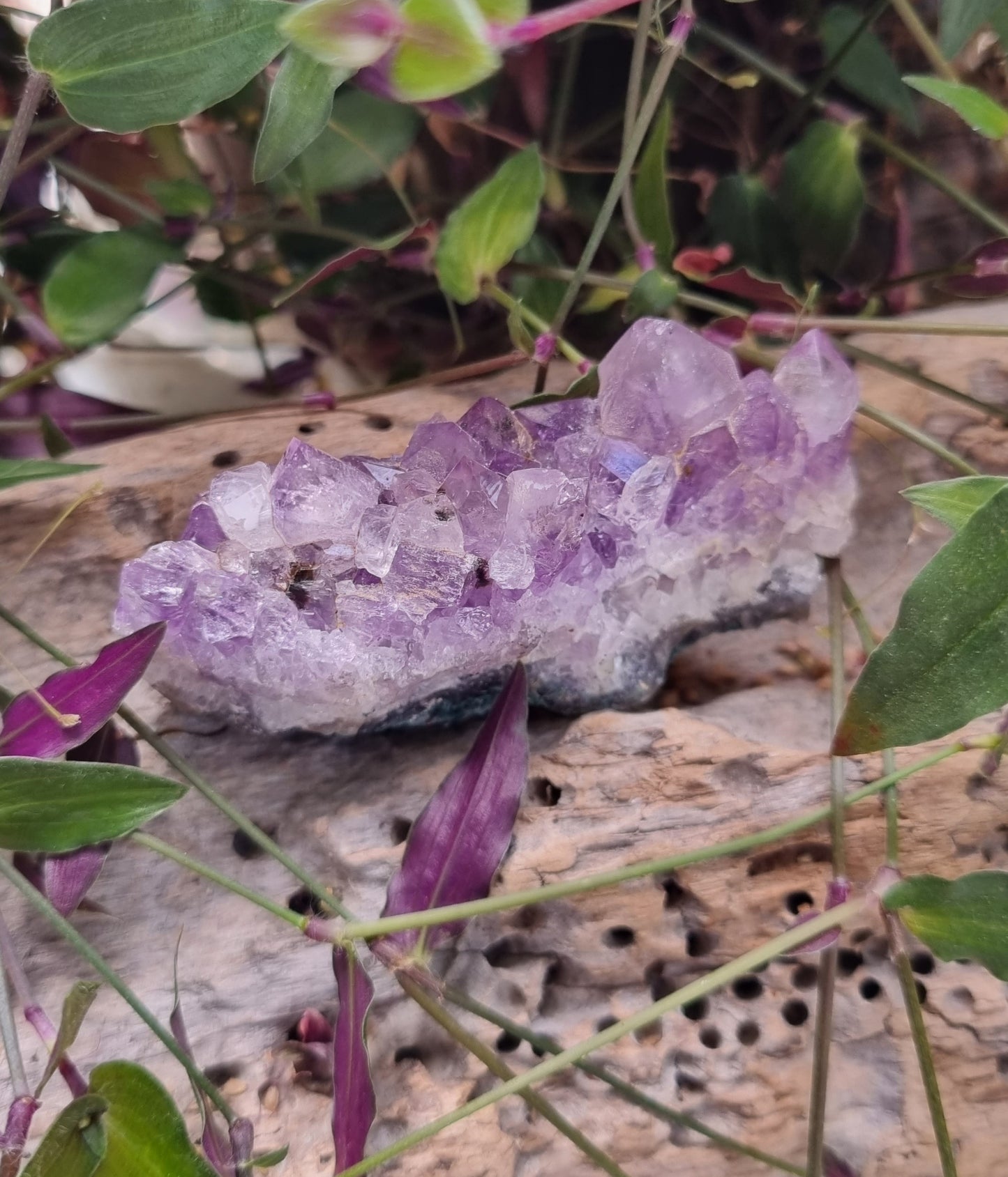 Amethyst Cluster - Reiki Infused