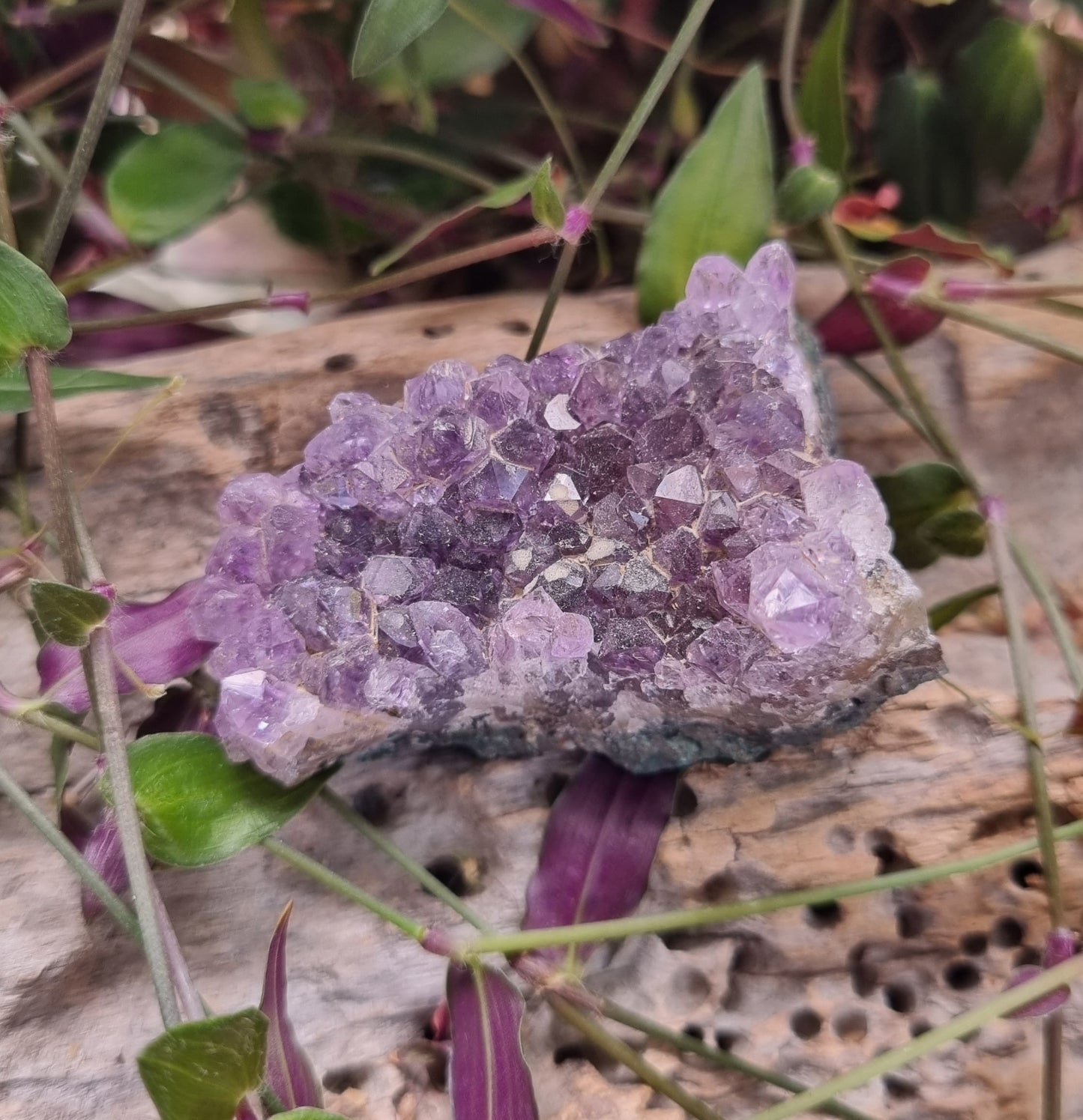 Amethyst Cluster - Reiki Infused