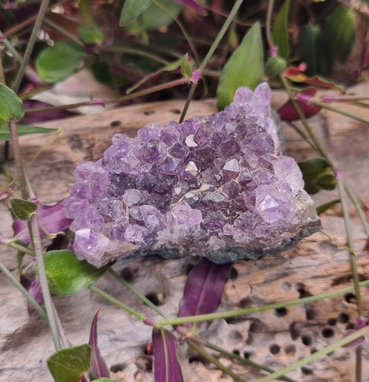 Amethyst Cluster - Reiki Infused