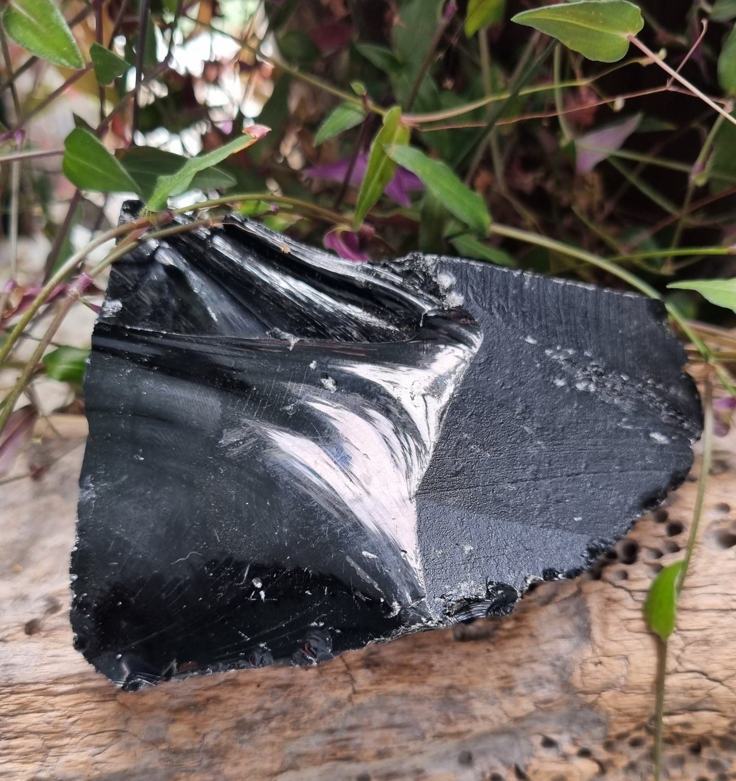 Black Tourmaline Raw & Polished- Reiki Infused