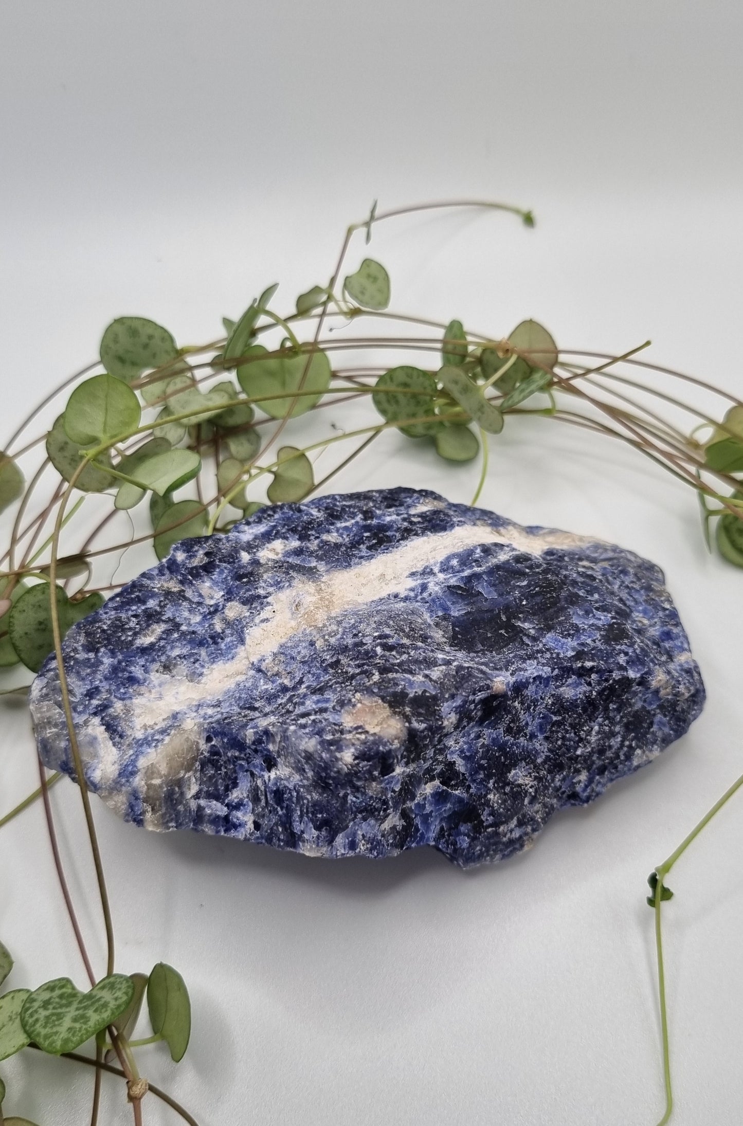 Sodalite - Reiki Infused