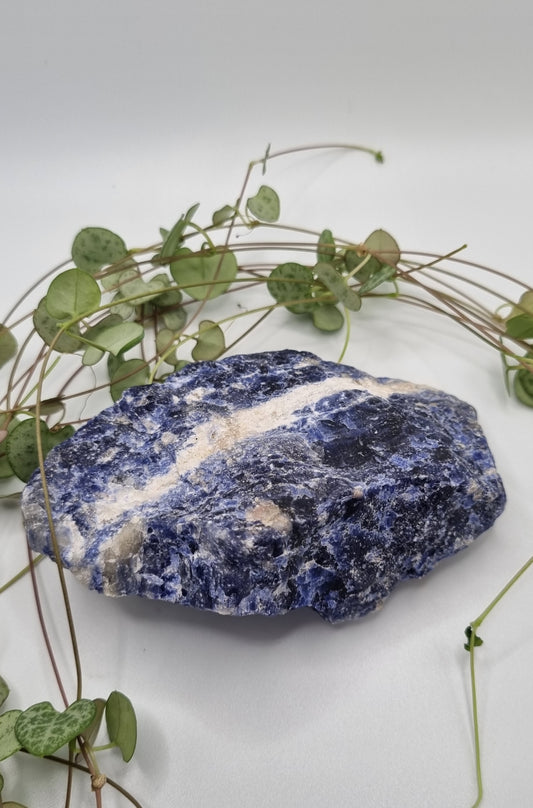 Sodalite - Reiki Infused