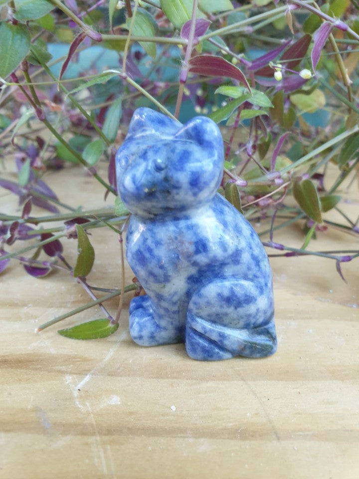 Sodalite cat - Reiki Infused