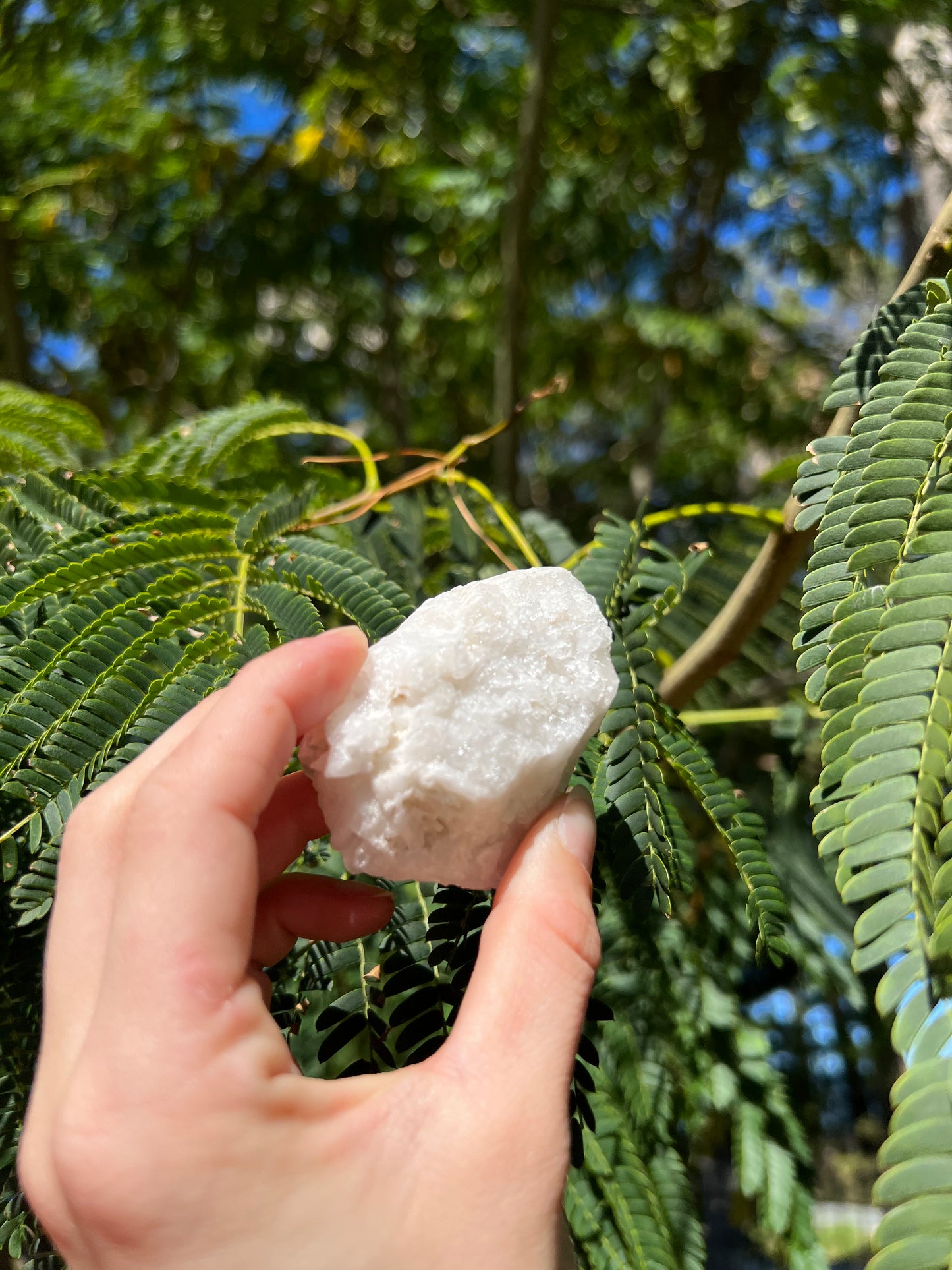 Quartz Cluster - Reiki Infused