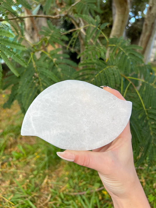 Selenite Leaf Crystal Charging Leaf - Reiki Charged