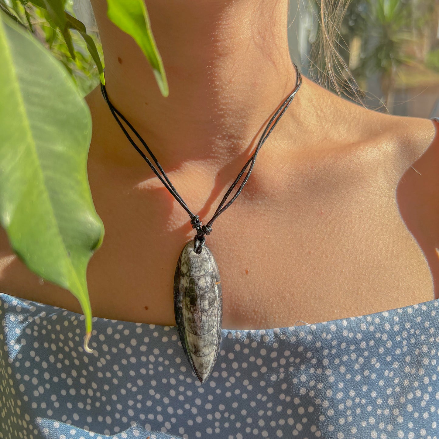 Orthoceras Necklace - Reiki Infused