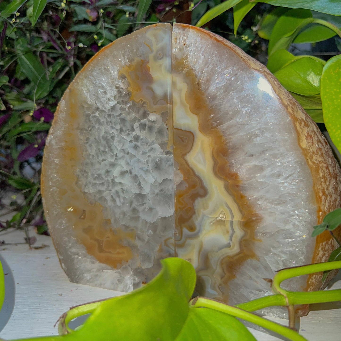 Brazilian Agate Bookends - Reiki Infused